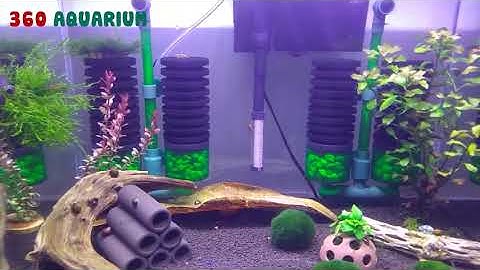 SETUP HỒ TÉP CẢNH VĂN PHÒNG SIÊU ĐẸP