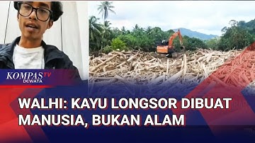 WALHI Bantah Pemerintah soal Banjir Sumatera Bencana Alam, Kritisi Alih Fungsi Lahan dan Deforestasi