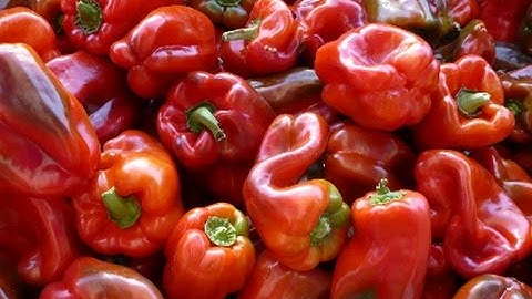 Pepper Sorting De-cored by Raynbow optical sorter | RAYTEC VISION SpA