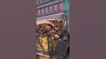 Dumping Sand #shorts