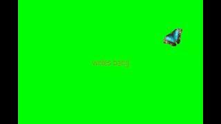 green screen kupu-kupu terbang