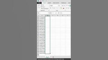 How to Insert Alternative Multiple Rows in Excel #Shorts #Excel #tipsandtricks #ytshorts