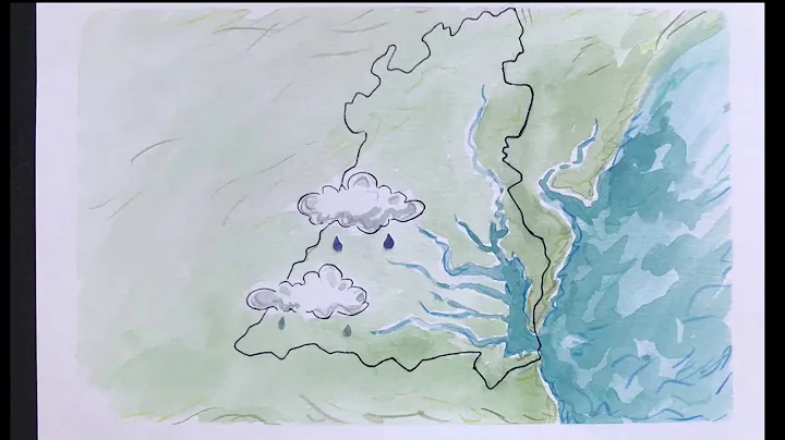 The Watershed Journey of a Raindrop