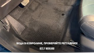 видео: ВОДА В ПОЛАХ!ПРОВЕРЯЙТЕ КОВРОЛИН! , за этим точно нужно следить всегда! Джили Монжаро/ Geely Monjaro картинка: ВОДА В ПОЛАХ!ПРОВЕРЯЙТЕ КОВРОЛИН! , за этим точно нужно следить всегда! Джили Монжаро/ Geely Monjaro