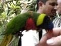 Bird Park Durban