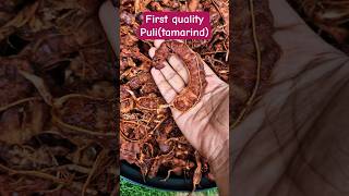 First quality Puli (tamarind) available... #shorts #Puli #tamarind #organic @Pragathisvoice