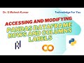 ACCESSING AND MODIFYING PANDAS DATAFRAME ROWS AND COLUMNS LABELS