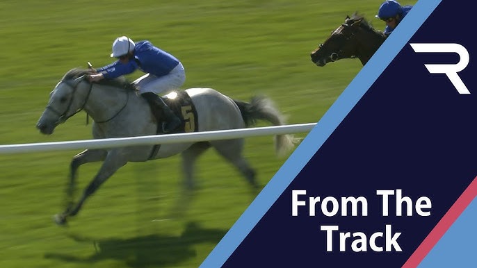 Nice Turf Debut Highland Avenue Impresses For Charlie Appleby In The 2021 Bet365 Feilden Stakes Youtube