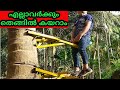 coconut tree climbing tool
