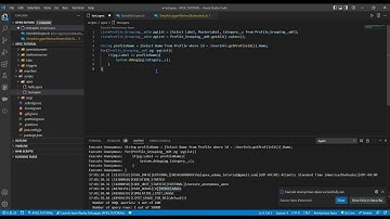 56. Custom Metadata - Free Partial Apex Course