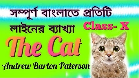The Cat By Andrew Barton Paterson | Analysis and explanation | Try and Learn
