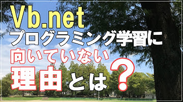 【Vb.net】プログラミング学習に向かない理由とは？