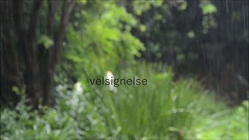 rain