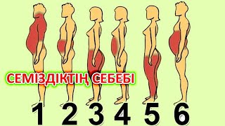 Семіздіктің 6 түрі. Артық салмақ, артық май жиналудың себебі