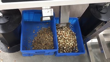 Almond Sorter Separate Kernel from Shell and Skin by InGaAs Infrared Cameras