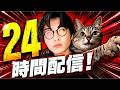 24時間配信、きず育成2