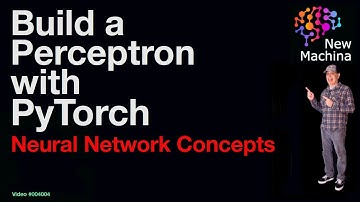 Build a Perceptron with PyTorch