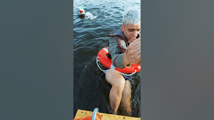 Rekin prawie dopadł chłopaków…