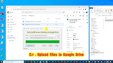 C# Back Up an MS Access Database file to Google Drive (Testing)