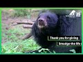 Lonely bear cub meets her soulmate