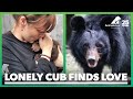 Lonely bear cub meets her soulmate