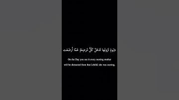 آيات من سورة الحج بصوت الشيخ /أحمد النفيس