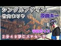 『シングルアゲイン・竹内まりや』男性が女性曲を原曲キーで歌う・フルカバー歌詞付　Covered by ハイトーン宇宙ボイスMr.リトルグレイ（ザ・ベストワン第一位)