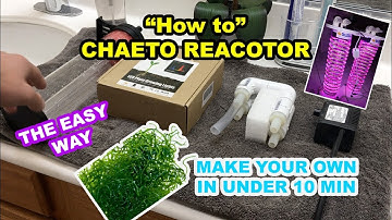 CHAETO REACTOR DIY (HOW TO)