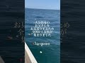 大分市　全国から家族が集まって海洋散骨