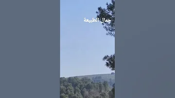 سحر الطبيعة وجمالها الناظور بركان وجدة Oujda Nador Berkane الجبال الانهار السهول 