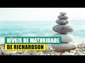 09 O Que é RESTful? Aprenda os Níveis de Maturidade de Richardson para APIs Perfeitas!
