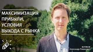 картинка: ЭКОНОМИКА 2020. Максимизация прибыли, условия выхода с рынка. Вебинар №22