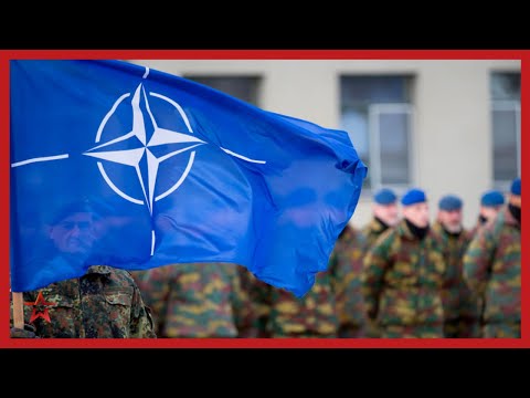 В НАТО допустили перемещение ядерного оружия США ближе к России