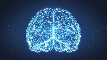 Logo Intro Animation - Mind Web Design