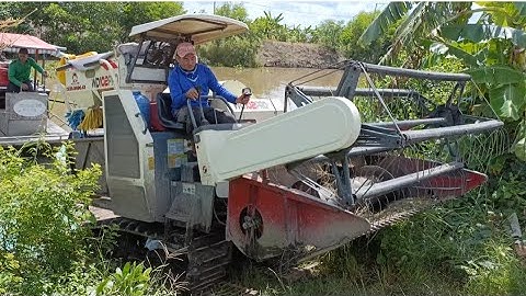 phà máy cắt 102 cặp bến Lên bờ cắt lúa chạy quá nhanh tập139 #maibangtv