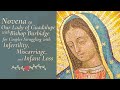 Novena to Our Lady of Guadalupe | Day 8