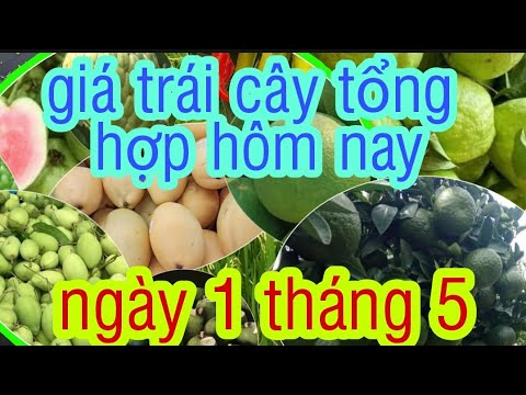 Video giá trái cây tổng hợp hôm nay ngày 1/5 - youtube
