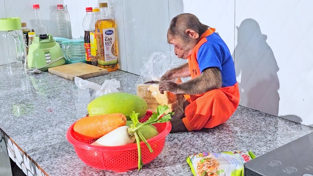 So Talented! Monkey SU Helps Cook Mom's Secret Egg & Bread Recipe!