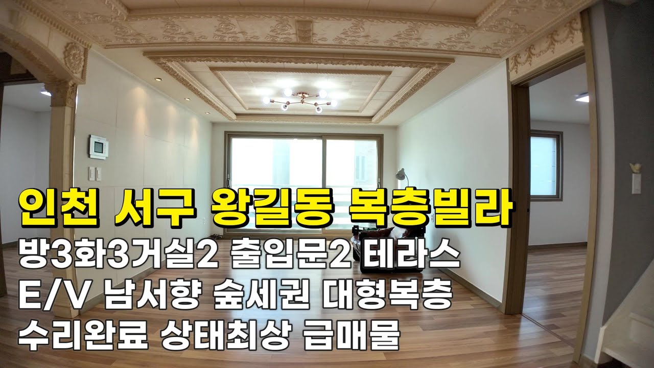 인천 왕길동 복층빌라 (26025) 출입문2 대형복층 2억1천900만원 E/V 방3화3 테라스 수리완료 상태최상 급매물 #왕길동복층빌라#왕길동복층빌라매매#검단사거리역복층빌라