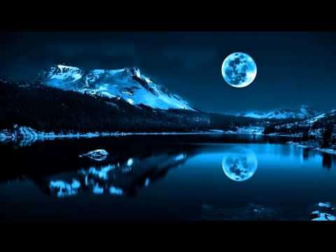 胡鴻鈞 Hubert Wu - 天地不容