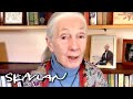 – Don't blame the bats for the Coronavirus | Dr. Jane Goodall | SVT/TV 2/Skavlan