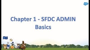 Chapter 1 - Salesforce Admin Basics in Hindi || Salesforce Tutorial
