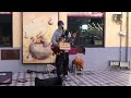 張惠妹 壞的好人 Live Cover 張惠妹 壞的好人 Live Cover