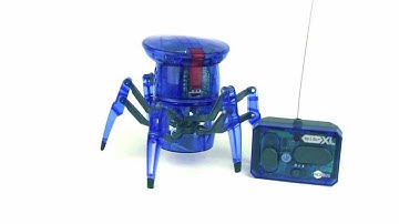 HEXBUG Spider XL