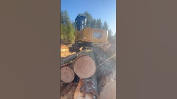 CAT 548LL 😻 #logginglife #heavyequipment #loggingequipment #timber #kitty #logger #pnw #lookatme