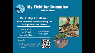 "My Field for Dummies" - Bat Niches