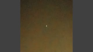 ROE-4