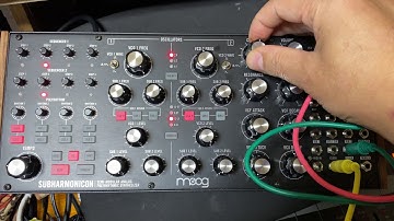 Moog Subharmonicon. Song with four chord progressions. by Saya 