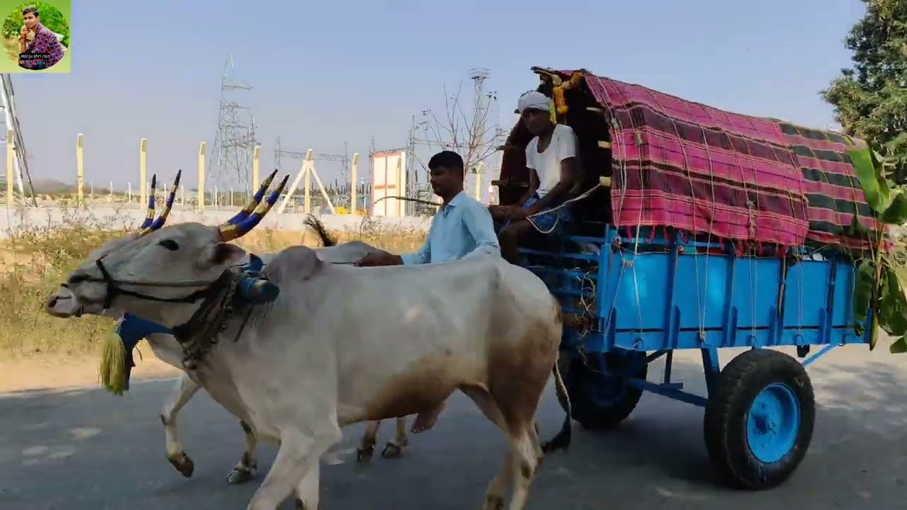 ಇದು ಅಂತರಗಟ್ಟೆ ಜಾತ್ರೆಯಲ್ಲ ಎತ್ತಿನ ಗಾಡಿಗಳ ಜಾತ್ರೆ