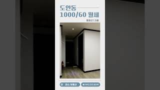 도안동 1064 1.5룸 월세[애완동물 거주가능] #부동산 #도안동원룸